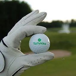 호스텔 Tallukka Vääksy